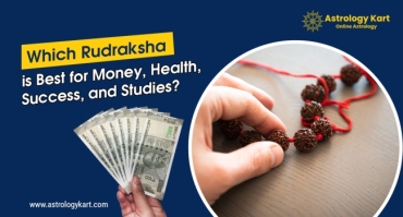 Which Rudraksha is Best for Money, Health, Success, and Studies?